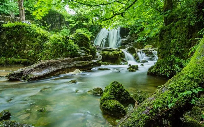 高标准稳定性
